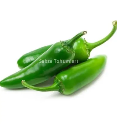 BİBER JALEPONE ( ÇOKLU TOHUM ) - 3 Gram