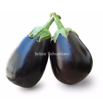 PATLICAN TOPAN ( ÇOKLU TOHUM ) - 5 Gram