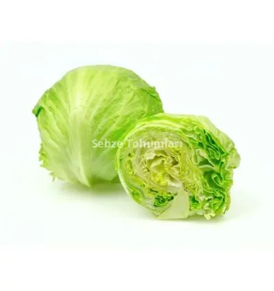 MARUL İCEBERG ( ÇOKLU TOHUM ) - 3 Gram