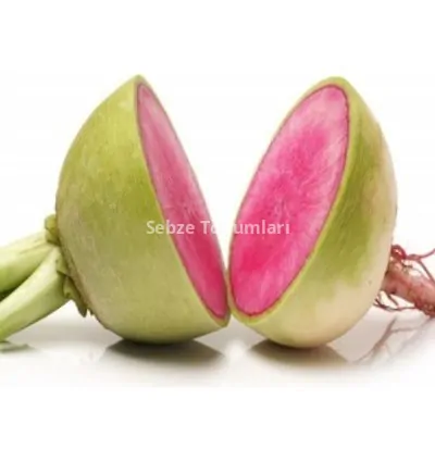 TURP KIRMIZI BEYAZ ( ÇOKLU TOHUM ) - 5 Gram