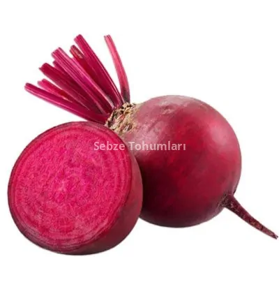 PANCAR KIRMIZI ( ÇOKLU TOHUM ) - 5 Gram