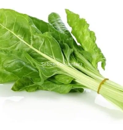 PAZI SARMALIK ( ÇOKLU TOHUM ) - 10 Gram