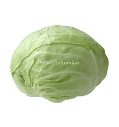 LAHANA BEYAZ ( ÇOKLU TOHUM ) - 5 Gram