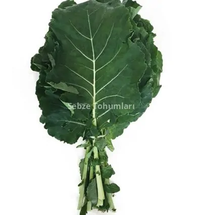 LAHANA KARADENİZ ( ÇOKLU TOHUM ) - 5 Gram