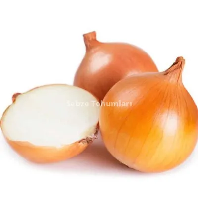 SOĞAN ( ÇOKLU TOHUM ) - 5 Gram