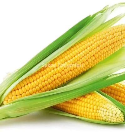 MISIR TATLI ( ÇOKLU TOHUM ) - 10 Gram