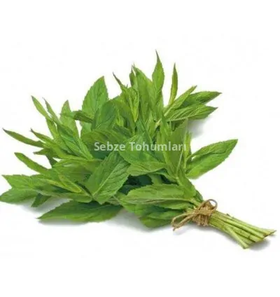 NANE ( ÇOKLU TOHUM ) - 3 Gram