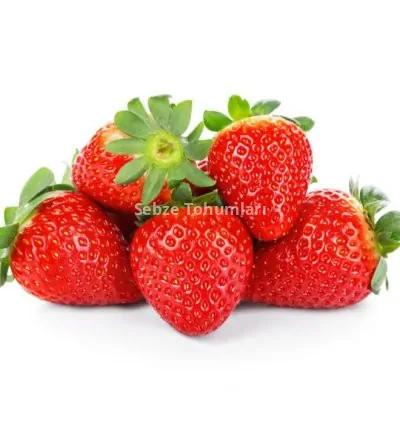 ÇİLEK ( ÇOKLU TOHUM ) - 3 Gram