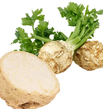 KEREVİZ ( ÇOKLU TOHUM ) - 3 Gram