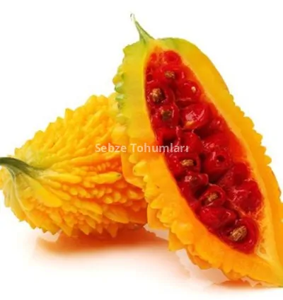 KUDRET NARI ( ÇOKLU TOHUM ) - 10 Adet