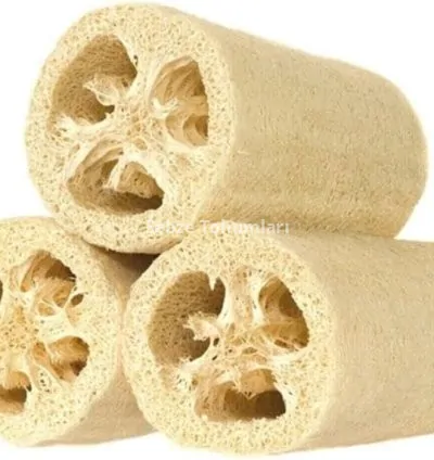 LİF KABAK ( ÇOKLU TOHUM ) - 10 Adet