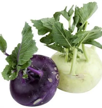 KOLHRABI ALABAŞ ( ÇOKLU TOHUM ) - 2 Gram