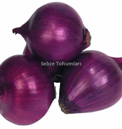 MOR SOĞAN ( ÇOKLU TOHUM ) - 3 Gram