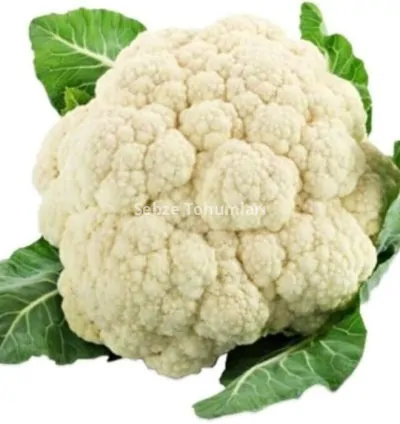 KARNIBAHAR ( ÇOKLU TOHUM ) - 5 Gram